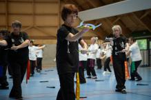 Stage des armes dites Demi-lunes (Shuang Yue)