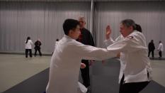 Stage des armes dites Demi-lunes (Shuang Yue)